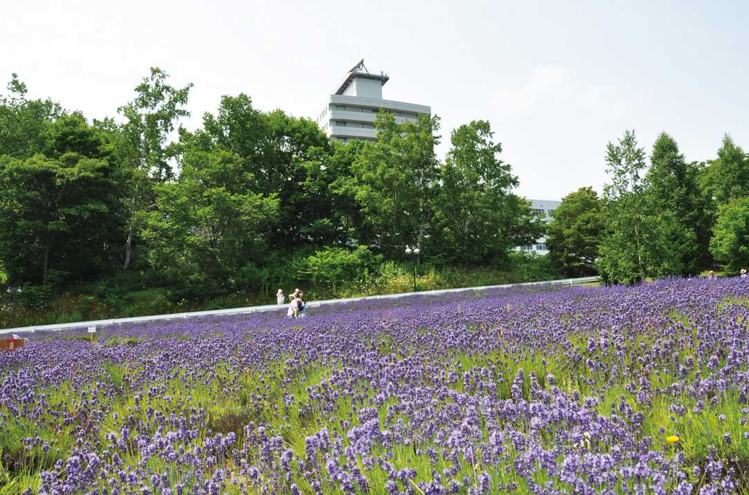  tokai university