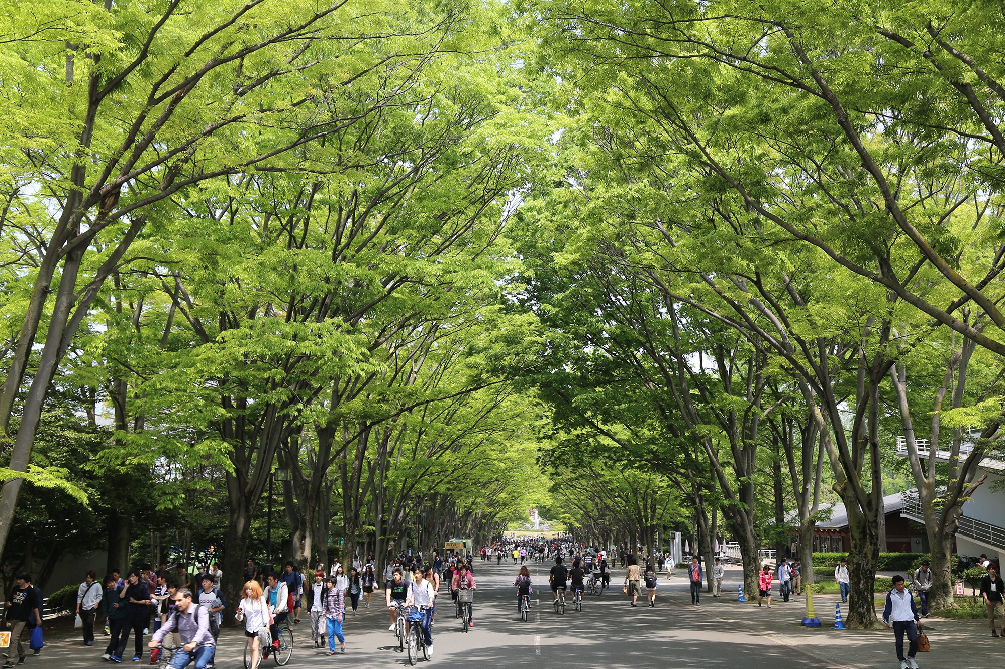 湘南キャンパス 大学の概要ページ 東海大学 Tokai University