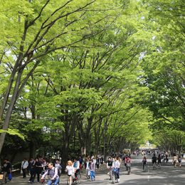東海大学