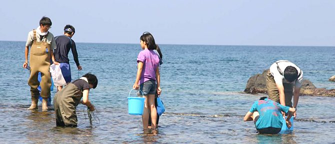 付属高校生向けの体験授業を実施しました