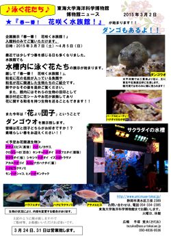 海洋科学博物館で企画展示『春一番! 花咲く水族館!』を開催します