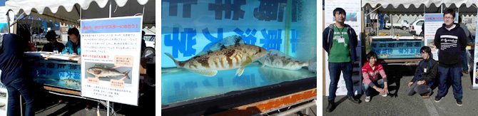 生物学部の学生が第６回「大漁豊漁ほっけ祭り」に参加しました