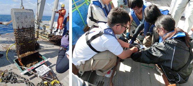 望星丸による九州-パラオ海嶺海域での海底鉱物資源調査を実施しました