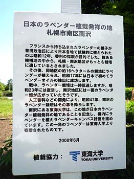 真駒内公園にラベンダーを寄贈