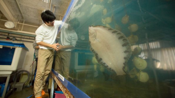 水槽実験室