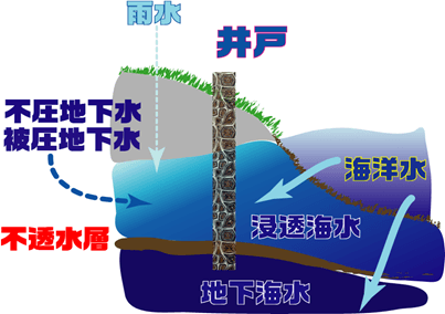 アワビの陸上養殖の図式