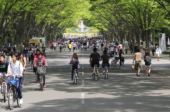 キャンパス案内 大学の概要ページ 東海大学 Tokai University