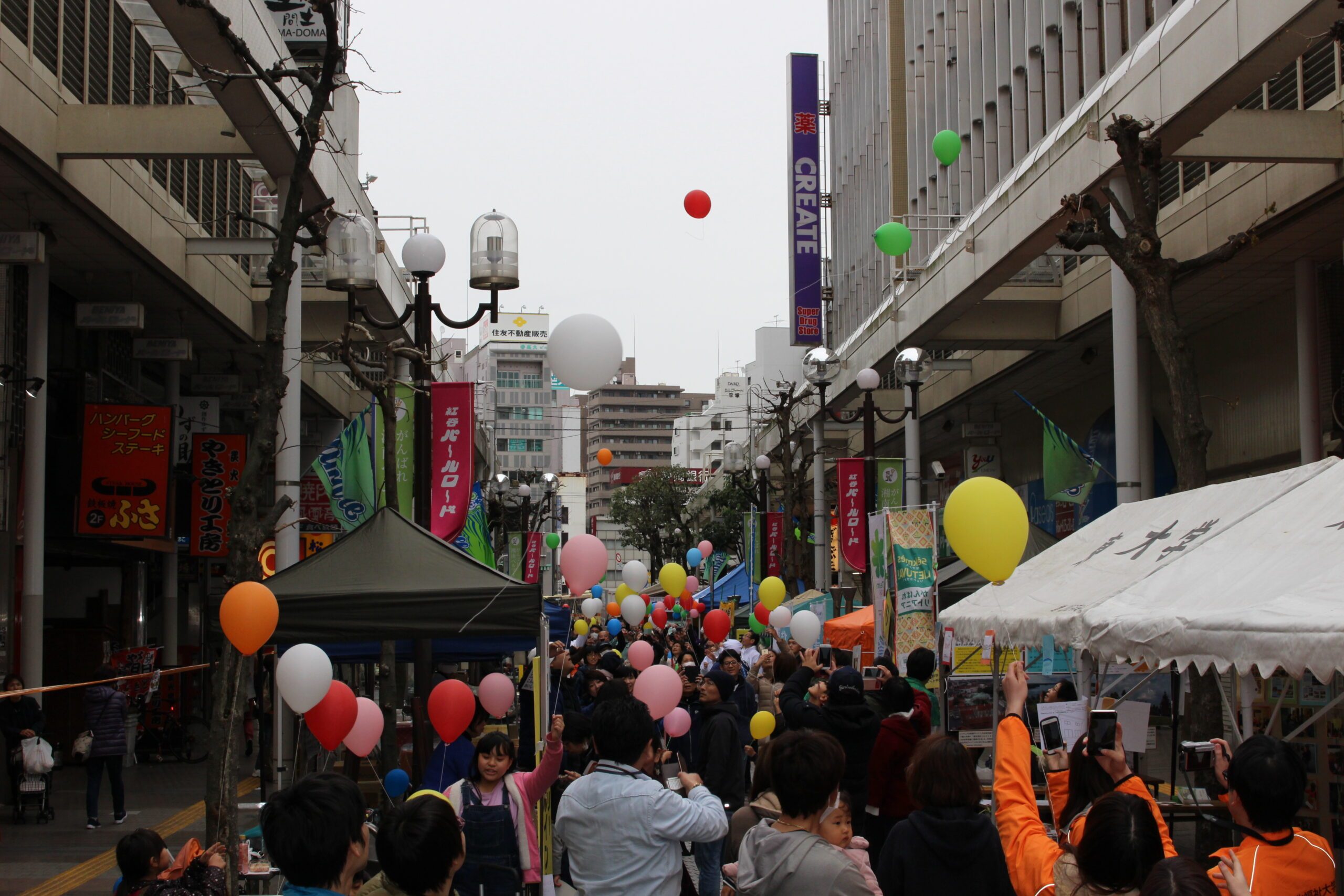 0310 hiratuna6.JPG
