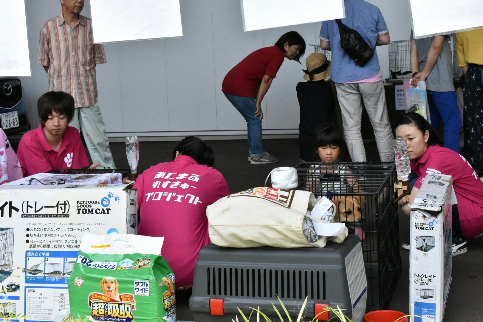 05.06joutokai1.jpg