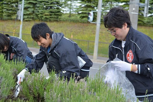 花壇の除草・植栽作業ボランティア04.JPG