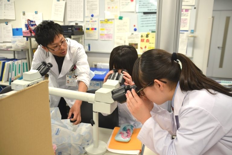 職場体験3_525.jpg