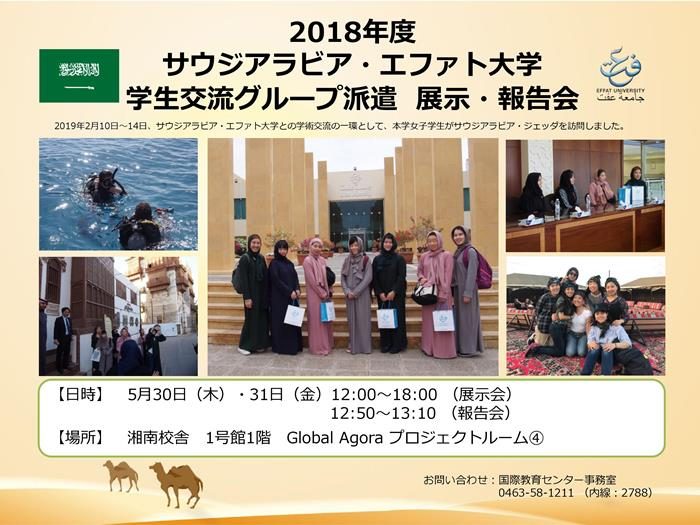 2018年度エファト大学学生交流派遣　展示・報告会_525.jpg