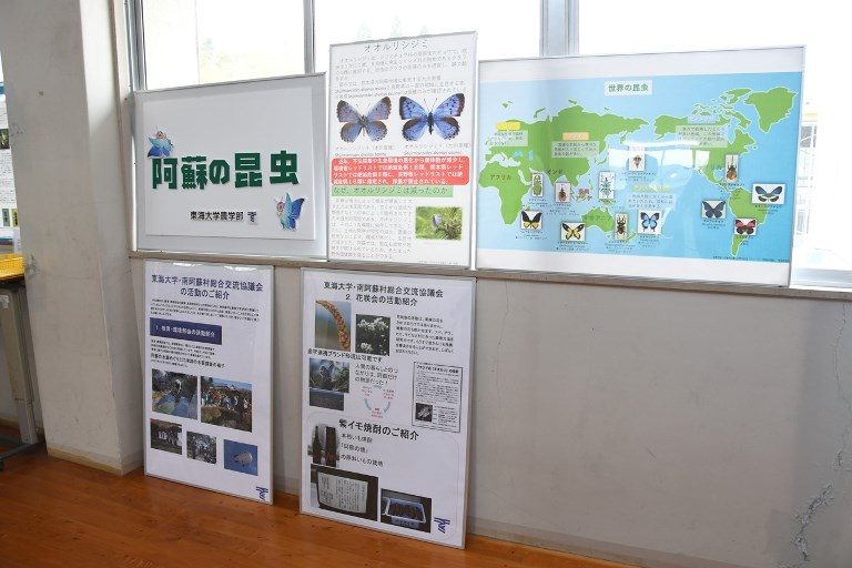 昆虫展＆VR展 (3)_525.jpg