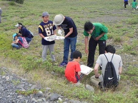 渚の観察会 (7)_341.jpg