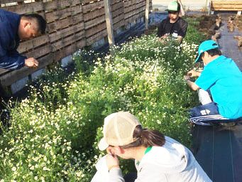 4月30日 吉本さん菊陽_170503_0019.jpg