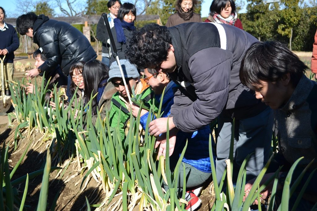 湘南hp報「感じる公園ワークショップ」 (3).jpg