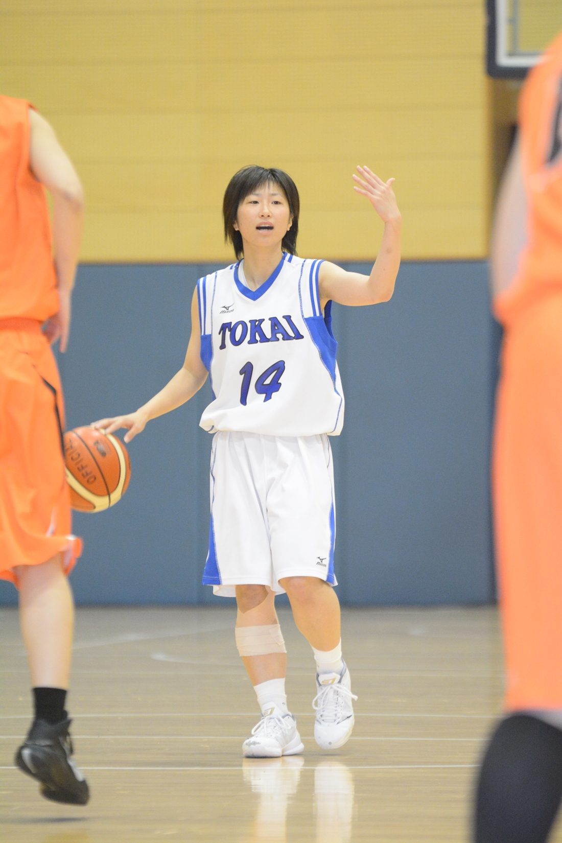 九州キャンパス男女バスケットボール部がインカレで活躍しました キャンパスニュース 東海大学 Tokai University