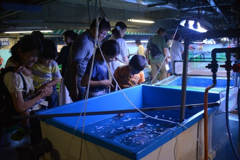 博物館ガイドツアー (4)_525.jpg