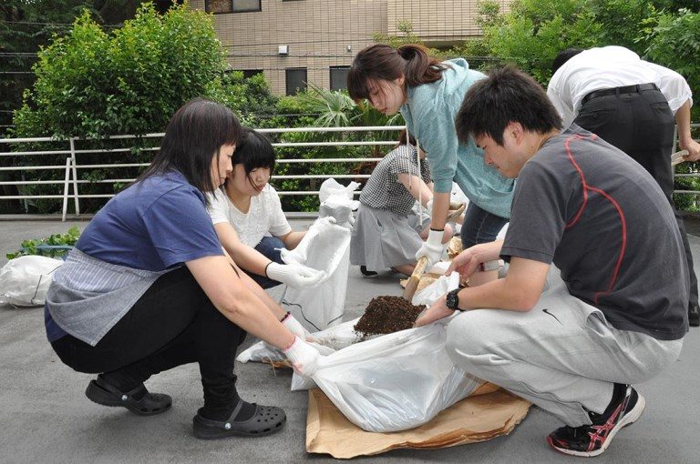 イモの苗植え1_525.jpg