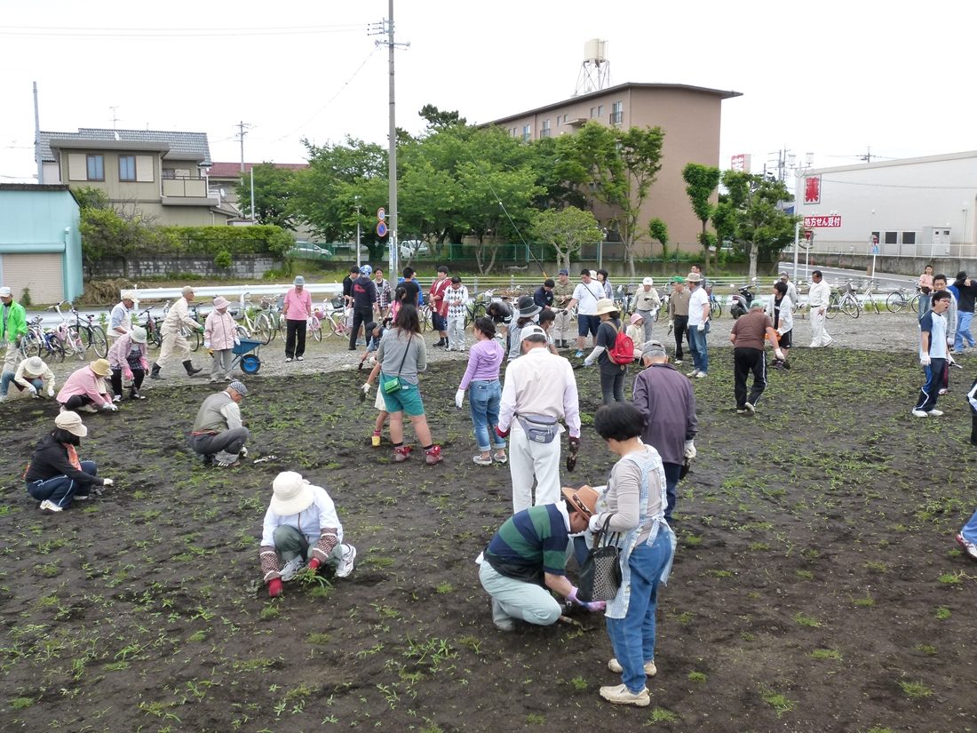 海hp報「新公園に芝生広場」03.jpg