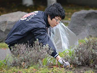 除雪除草3.jpg