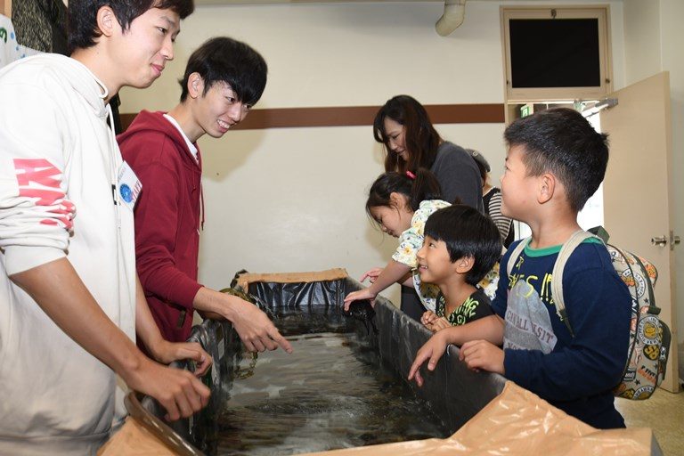 海洋祭 (3)525.jpg