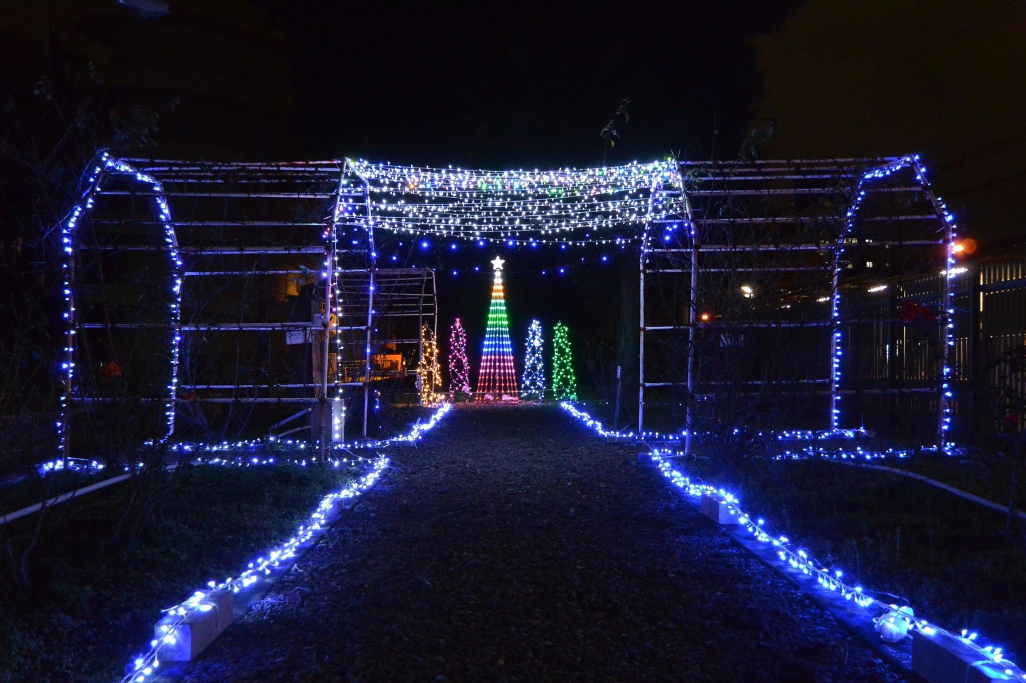 熊本ｈｐ報告「クリスマスイベント」 (5).jpg