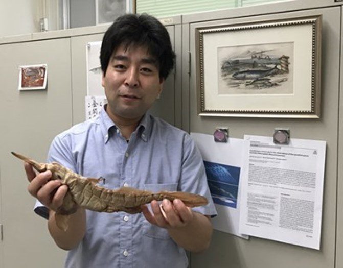 ヨミノツカイ (2)_525.jpg