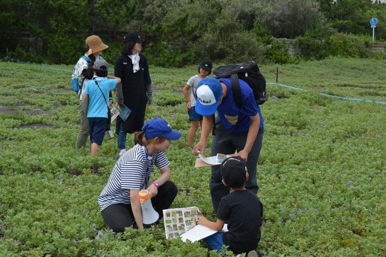 渚の植物観察会 (2)_525.jpg