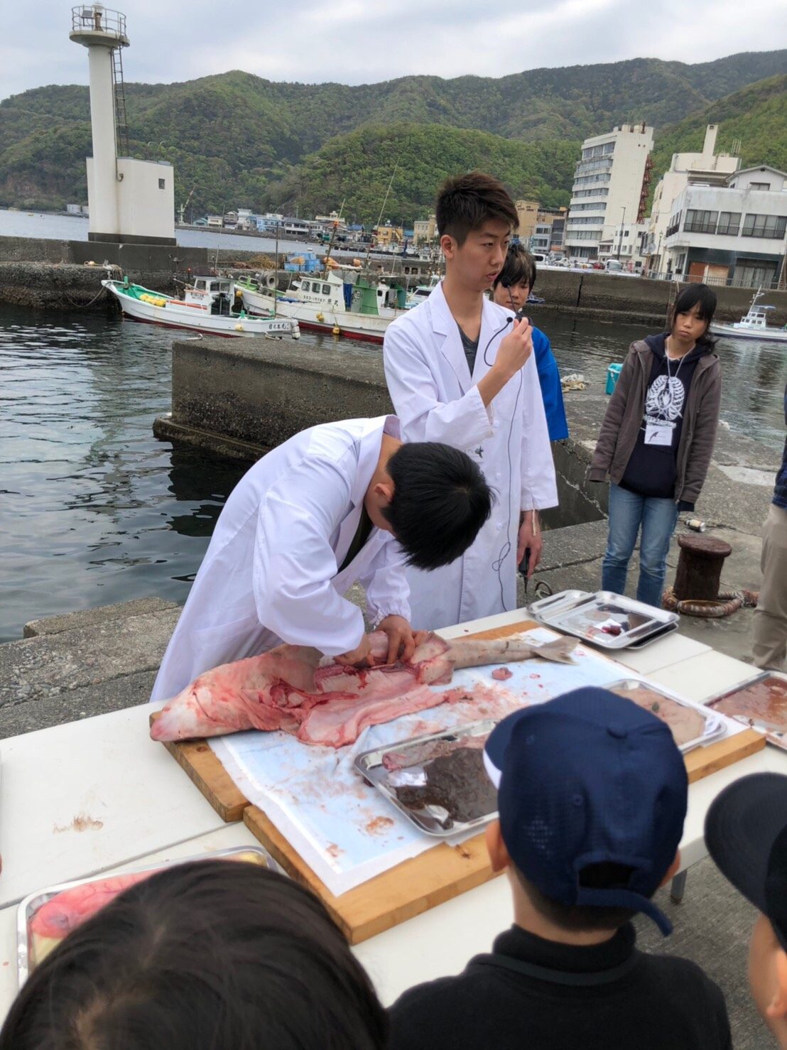 Deep sea fish fes1.jpg