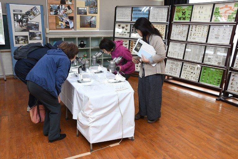 昆虫展＆VR展 (2)_525.jpg