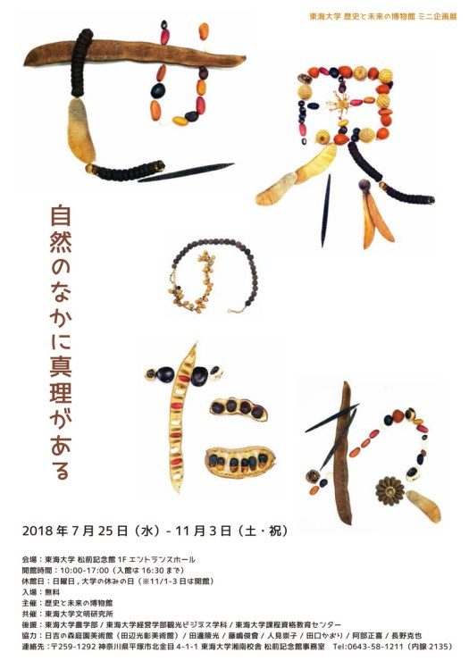 松前記念館企画展_525.jpg