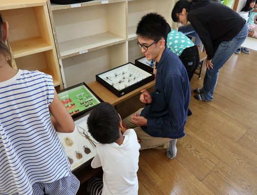 bug school4-1.jpg