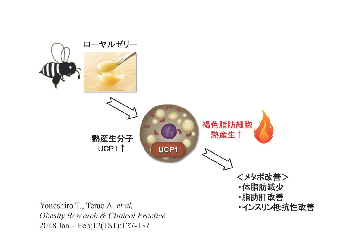 まとめ-寺尾v2.jpg