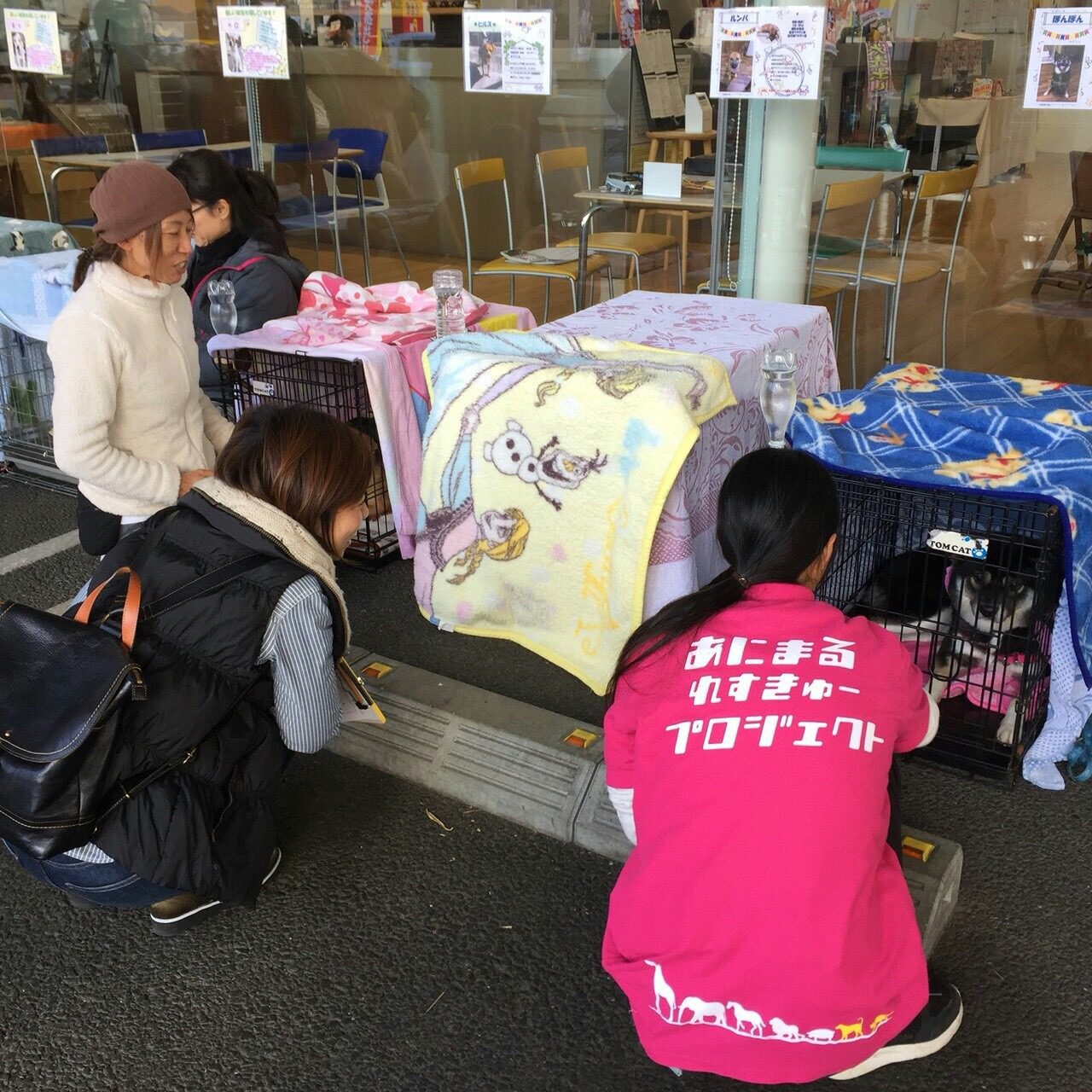 11.19譲渡会.jpg
