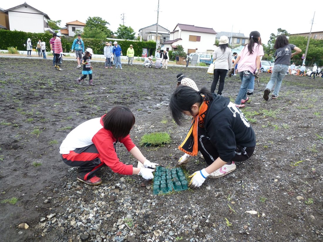 海hp報「新公園に芝生広場」02.jpg