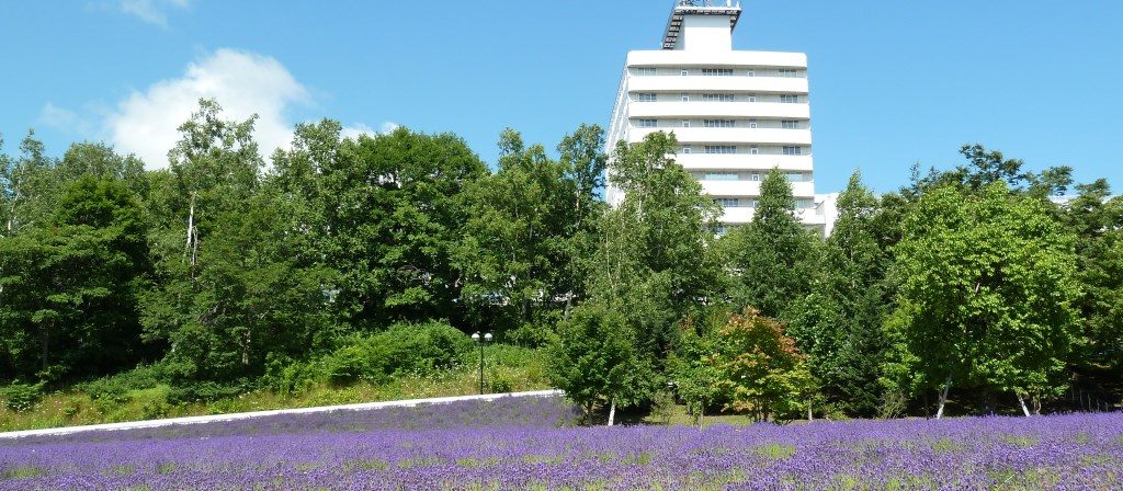 ラベンダーまつり告知_1100.jpg
