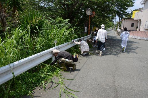 保田窪放水路清掃 (6)_341.jpg