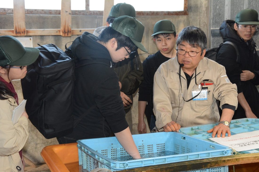 海洋生物新入生研修２.jpg