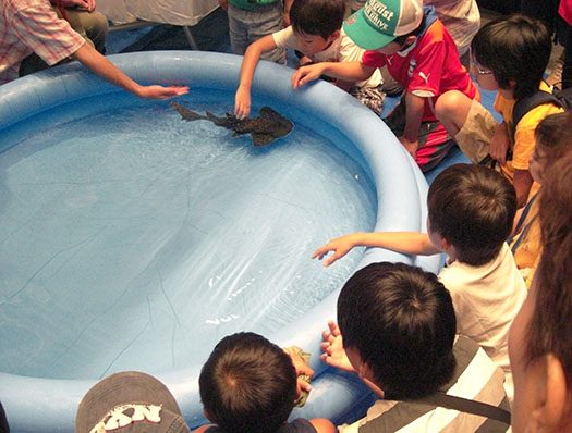 静岡科学館実施様子1.jpg