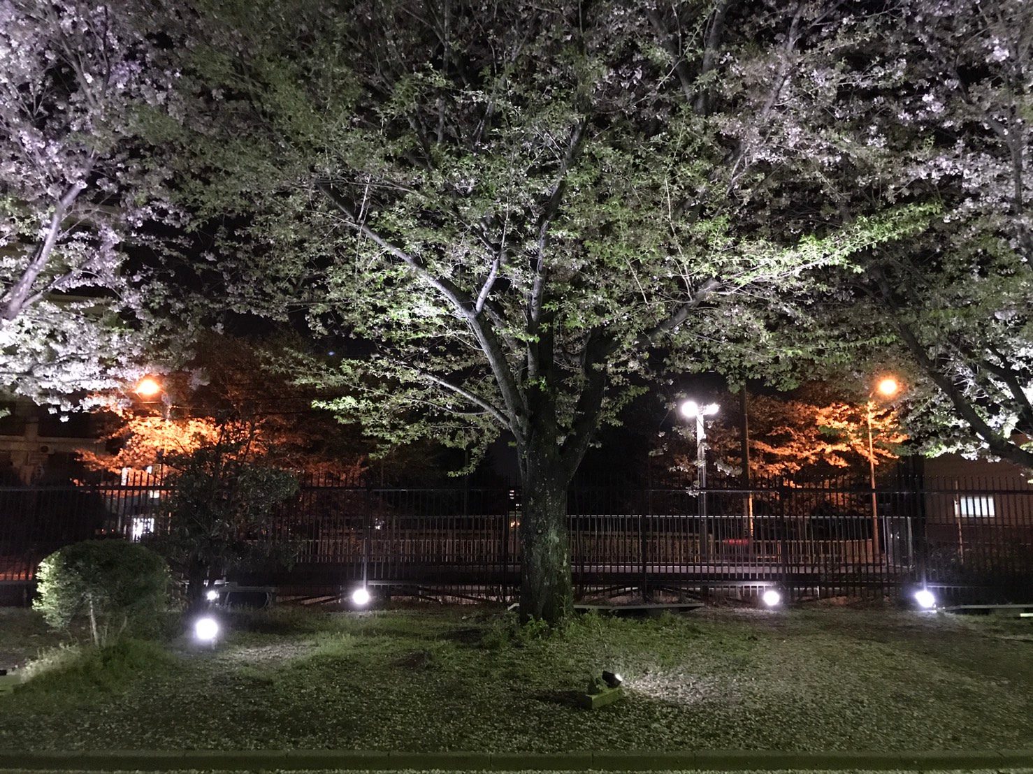 写真②.jpg
