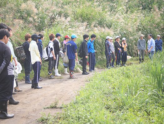 hako201601.jpg