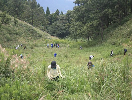 hako201602.jpg