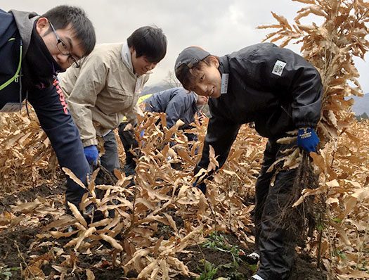 huyuen201601.jpg