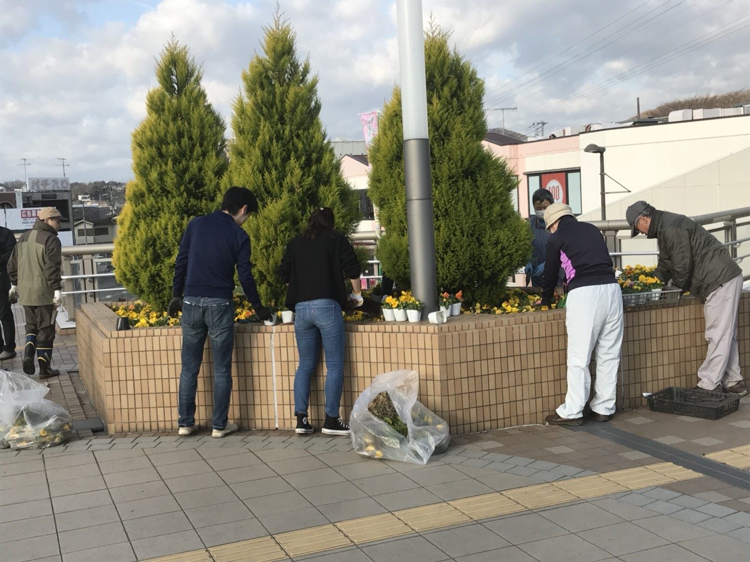キャンパスストリートプロジェクトが駅前の花壇植栽を実施しました チャレンジセンターニュース 東海大学 Tokai University キャンパスストリートプロジェクトが駅前の花壇植栽を実施しました チャレンジセンターニュース 東海大学 Tokai University