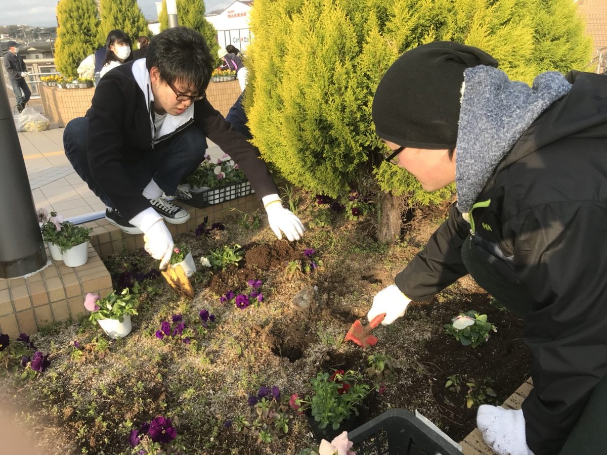 キャンパスストリートプロジェクトが駅前の花壇植栽を実施しました チャレンジセンターニュース 東海大学 Tokai University