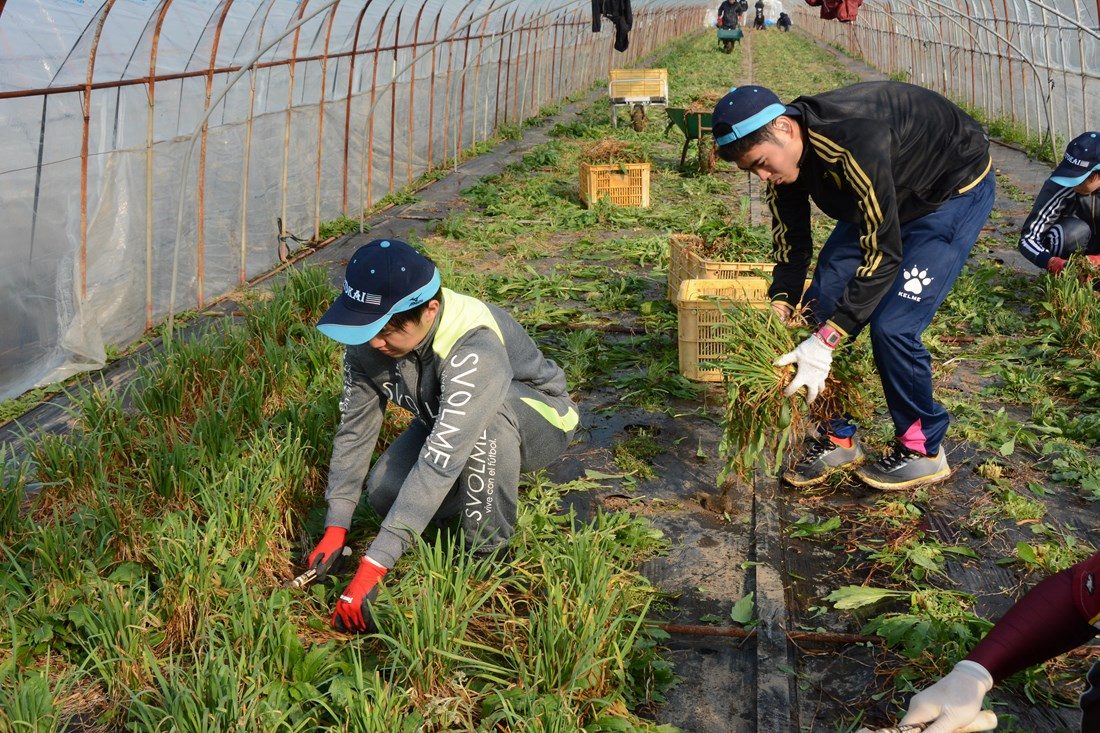 kumamoto.1.12_2.jpg