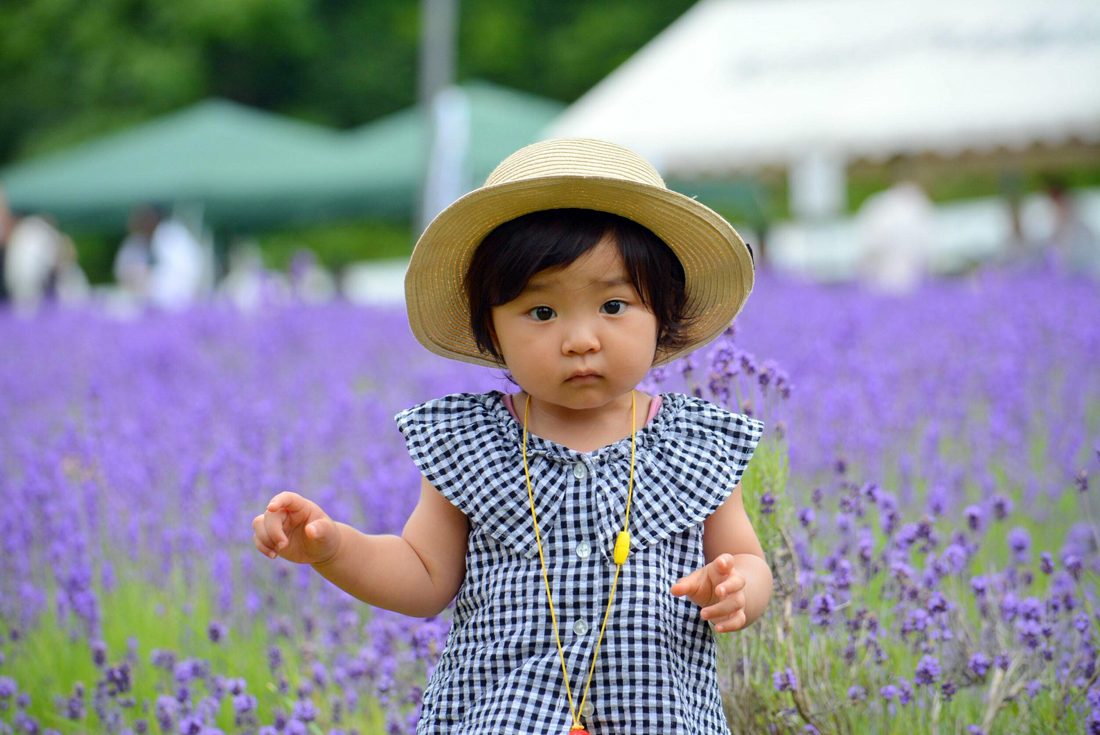 lavender (5).jpg