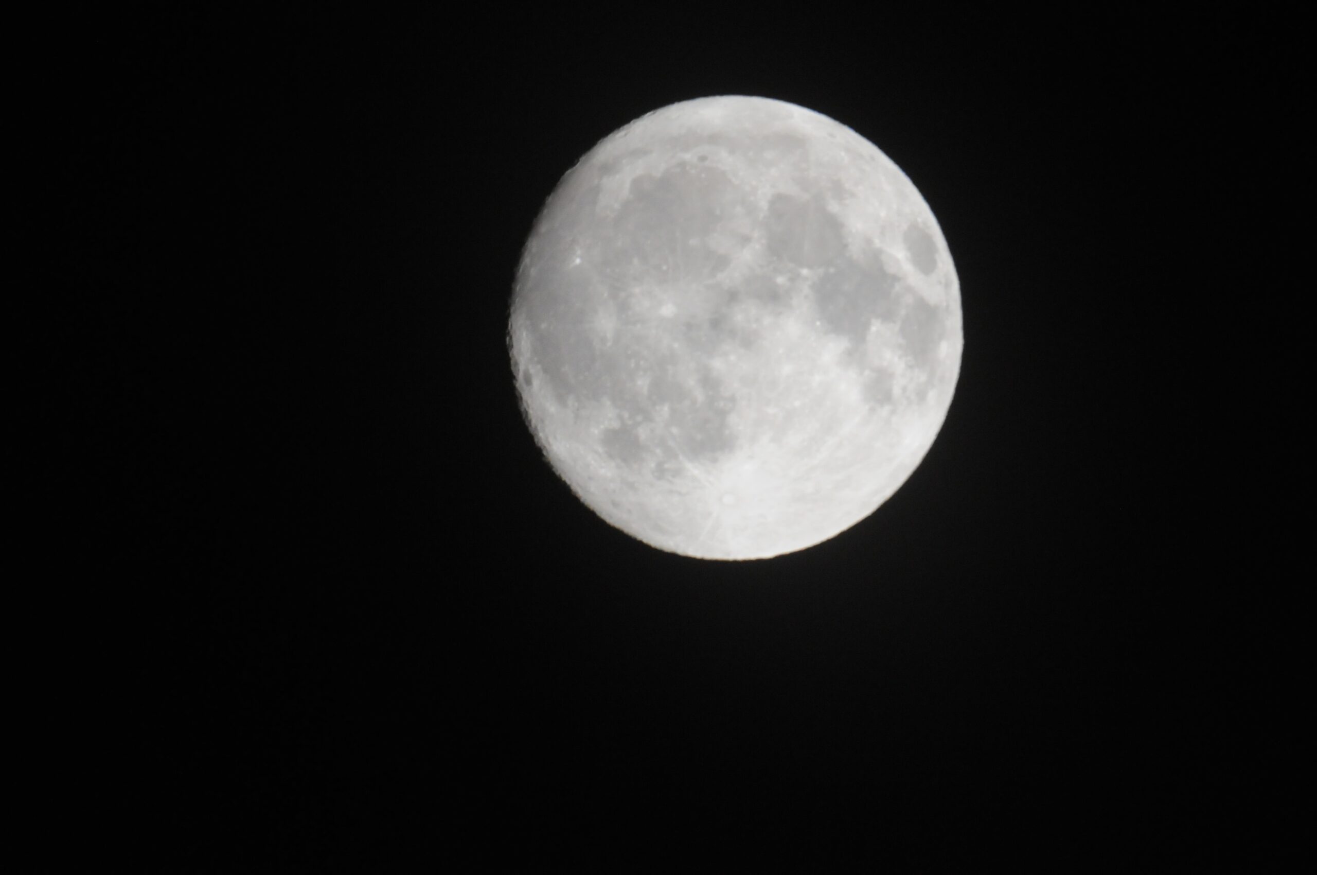 moom4.JPG