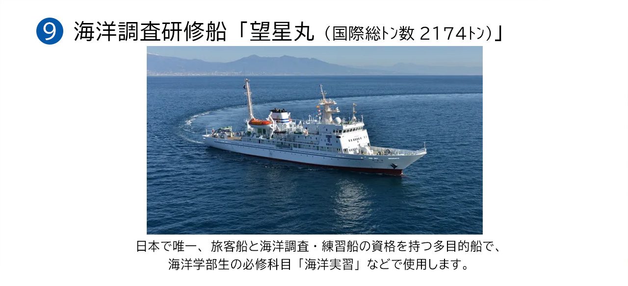 代替テキスト